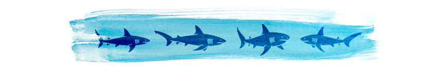 Illustration of four sharks with a wash of blue colour behind