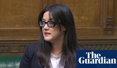 Commons women and equalities committee to stop using X amid AI-altered images row | X