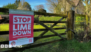 A sign which says Stop Lime Down attached to a wooden fence. The sign is a mixture of red and white