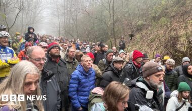 A large crowd of people gathered along a woodland path on a misty day.