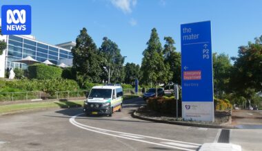 Patients relocated at Calvary Mater Hospital after maggot discovery