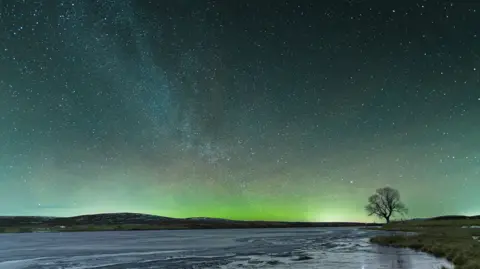 Alan Rankin A wide night sky filled with countless stars stretches over a frozen landscape. A soft green glow from the aurora shimmers along the horizon with a tree silhouetted on the right.