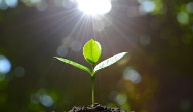 I tried a New Year meditation and it completely changed my attitude to 2026