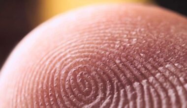 AI Exposes Flaws In Fingerprint Evidence