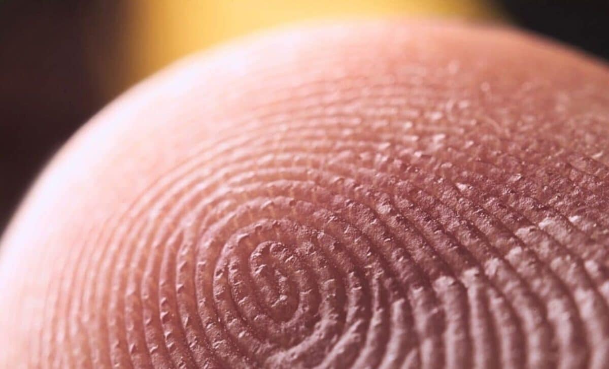 AI Exposes Flaws In Fingerprint Evidence