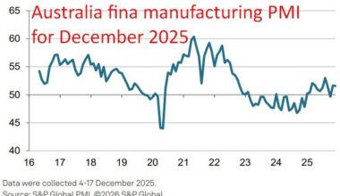 Australia manufacturing PMI holds 51.6 in December. Hiring accelerates & inflation firms.