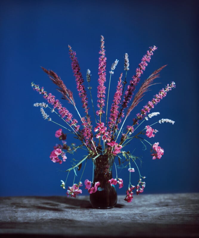 A dark glass vase holds an arrangement of pink and purple wildflowers and long grass stems, displayed on a wooden surface against a deep blue background.