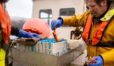 In Scotland, the fishing practice of scrapping ocean bottom continues despite protection promises
