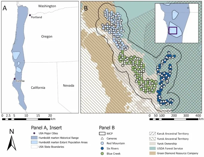 Coastal marten range