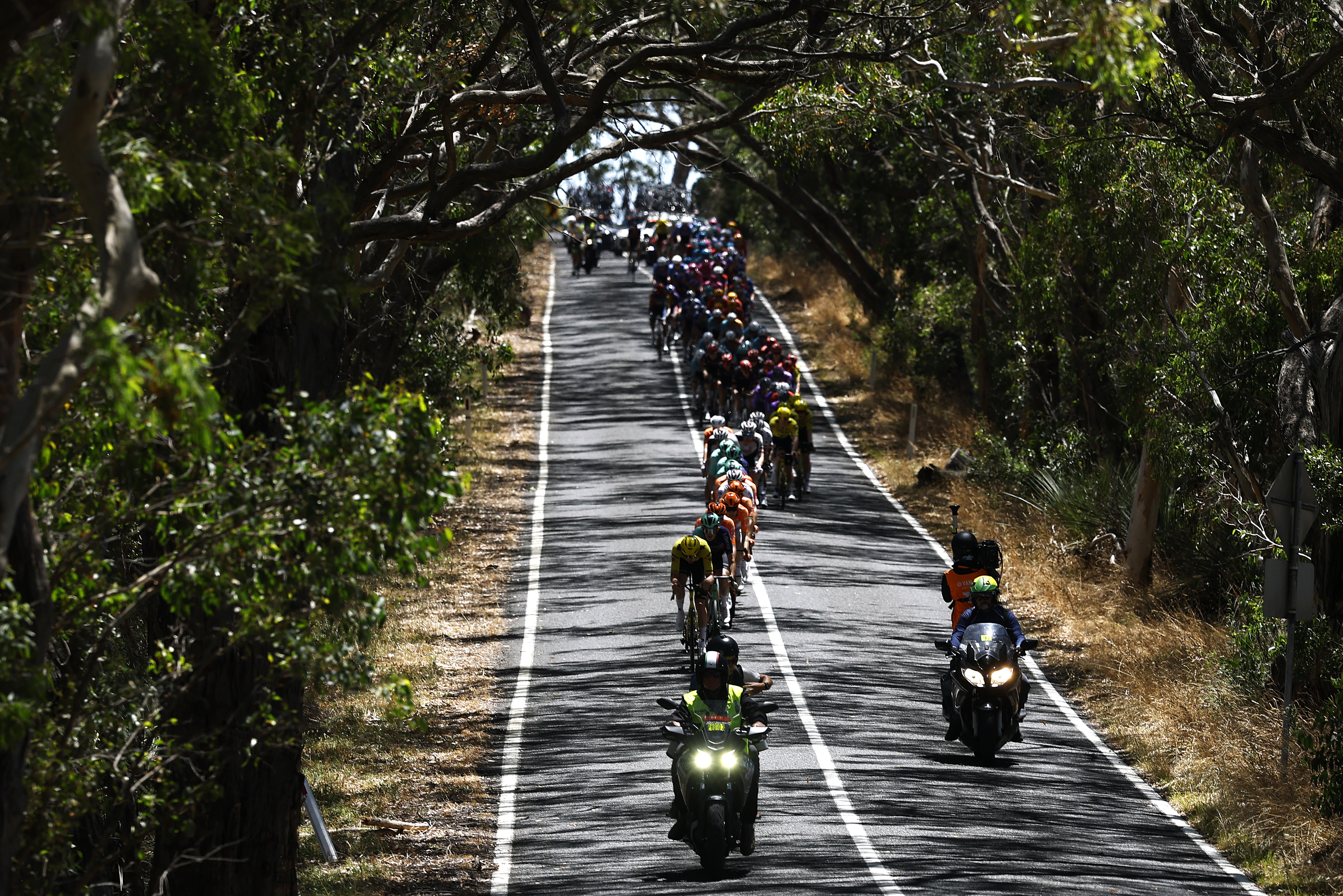 NAIRNE, AUSTRALIA - JANUARY 23: A general view of the peloton competing during the 26th Santos Tour Down Under 2026, Stage 3 a 140.8km stage from Henley Beach to Nairne / #UCIWT / on January 23, 2026 in Nairne, Australia. (Photo by Con Chronis/Getty Images)
