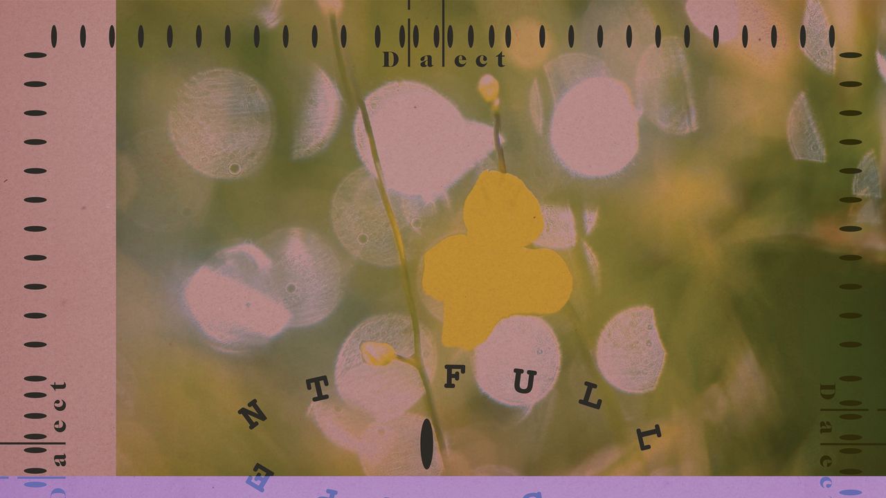 Dialect: Full Serpent EP | Pitchfork