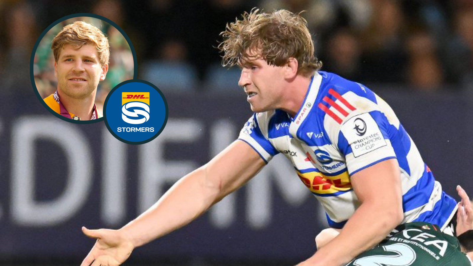 Roos not focused on Boks despite Bulls clash being perfect platform to impress Rassie Erasmus