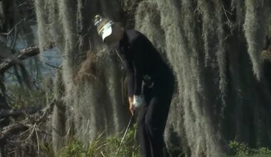 Nelly Korda’s Impressive Chip-In Saves Par on LPGA Tour