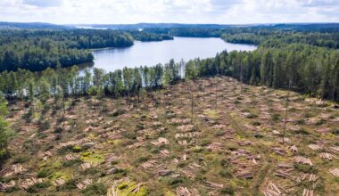 Why critics see the EU-Mercosur agreement as an environmental disaster