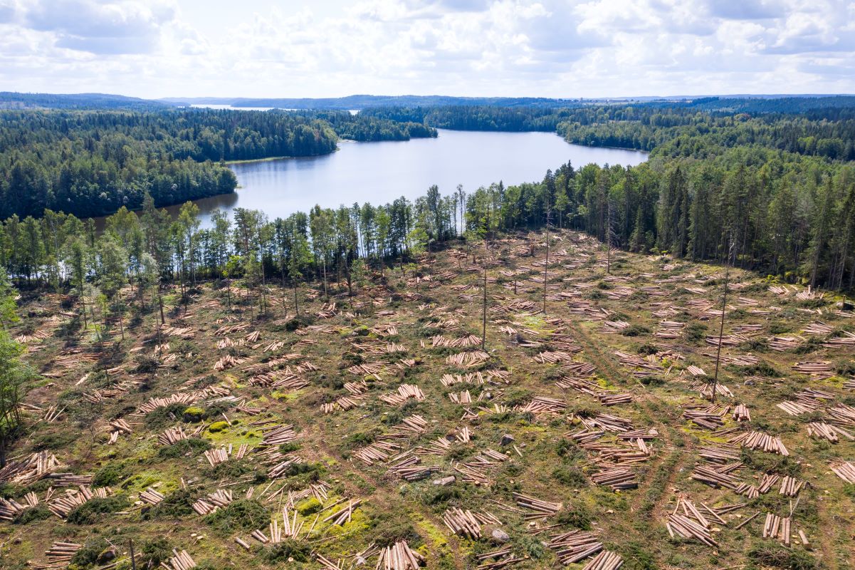 Why critics see the EU-Mercosur agreement as an environmental disaster