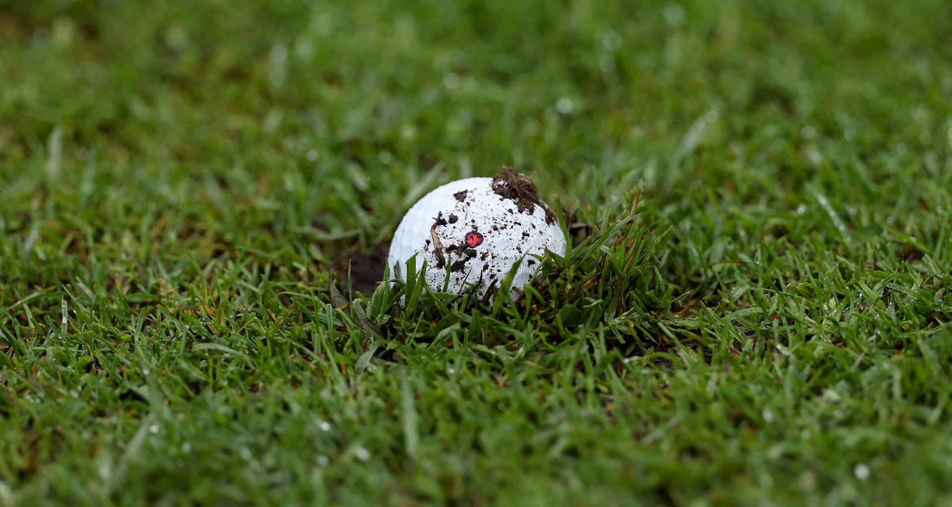 embedded ball