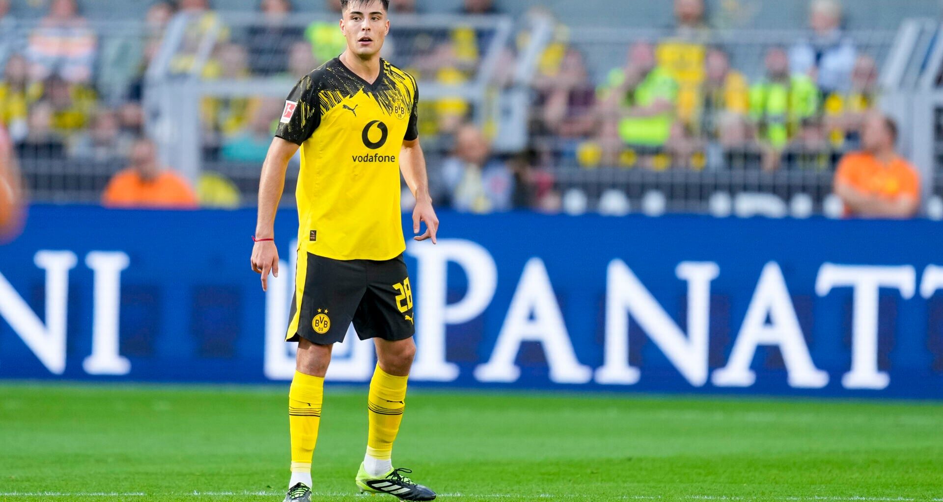 What Chelsea now plan to do with recalled Aaron Anselmino ahead of January deadline