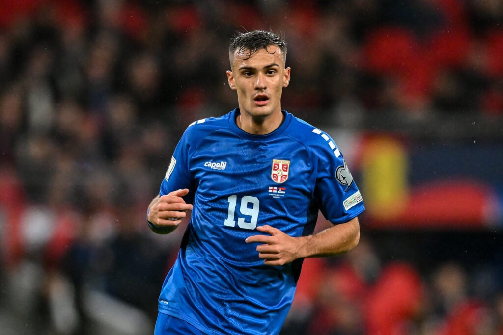 Aleksander Stankovic in action for Serbia.