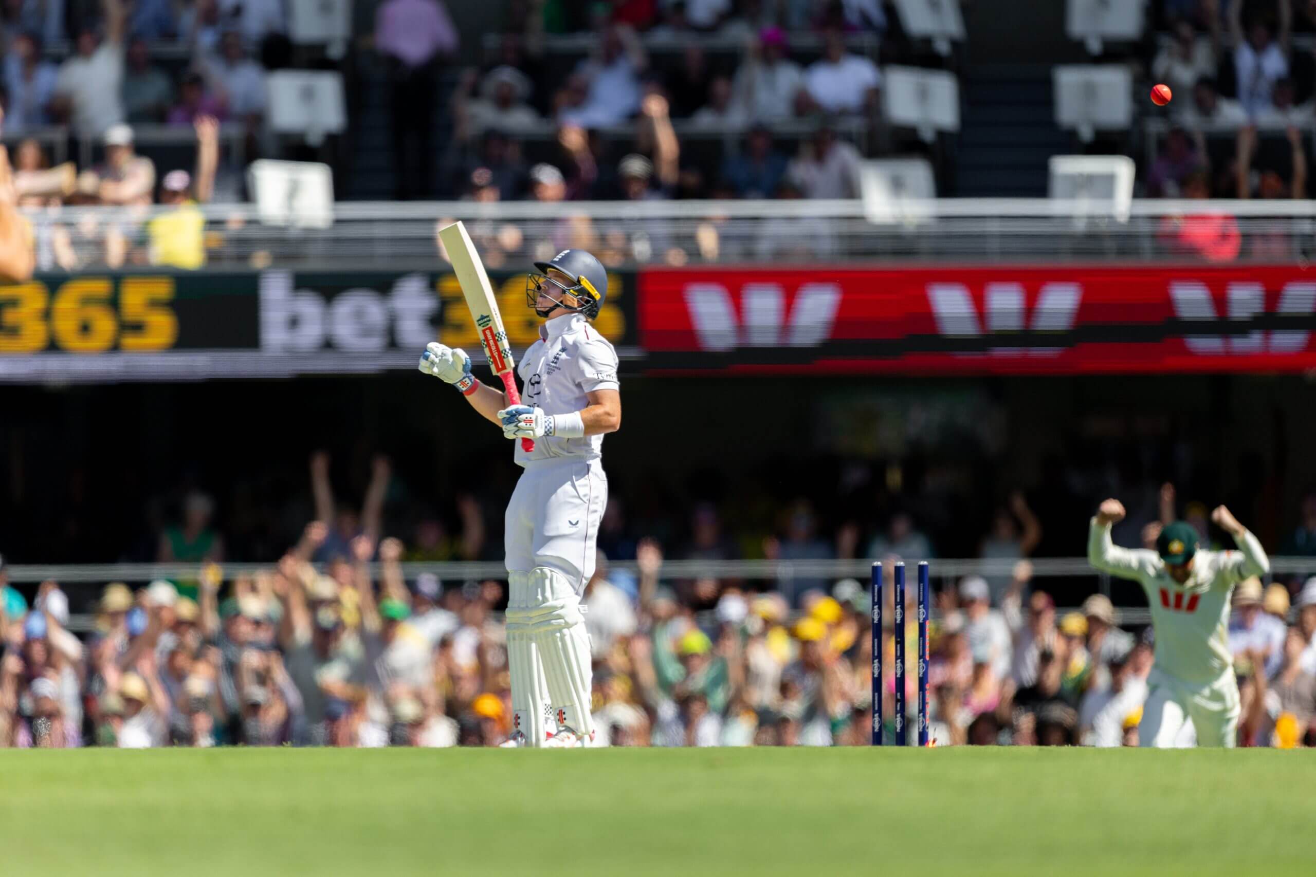 Ollie Pope wonders how he has been bowled in Brisbane