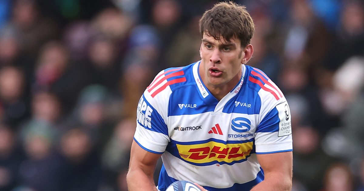 Stormers player ratings vs Leicester Tigers