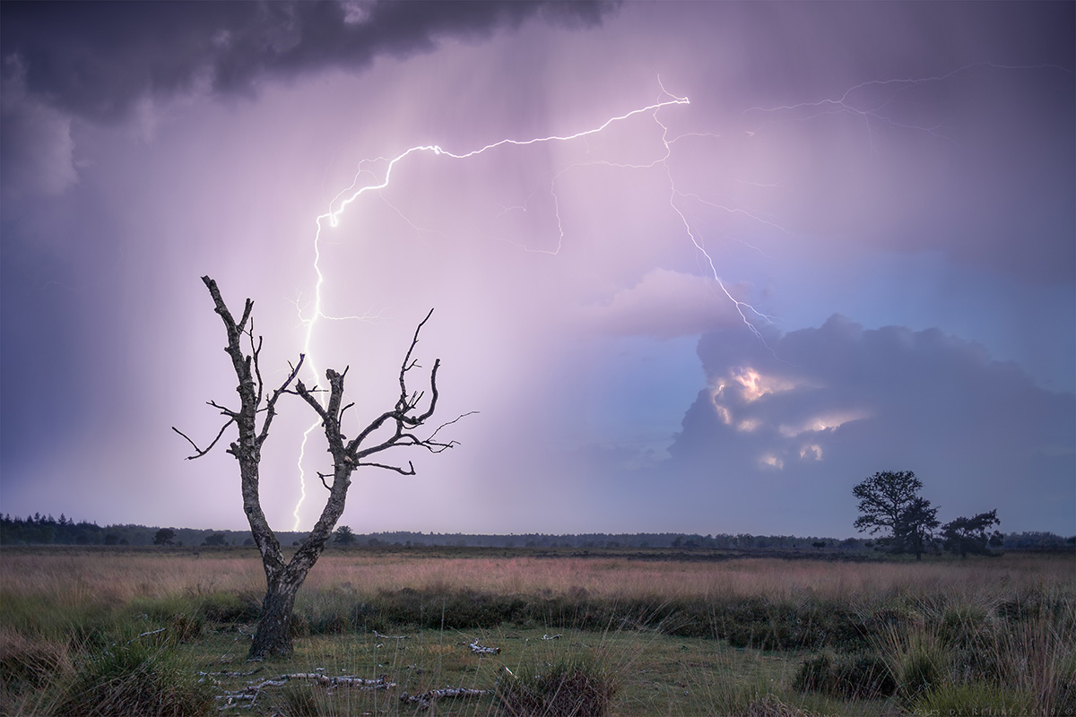 Gijs-de-Reijke-Heeze-Netherlands-2019