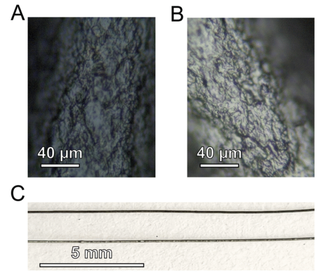 Did Thomas Edison Make a 