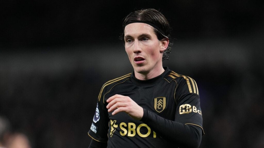 Harry Wilson in action for Fulham