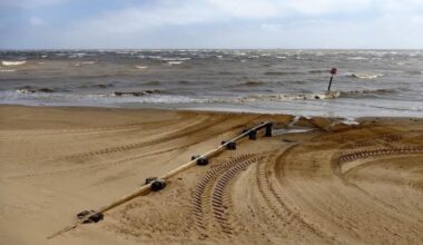 Part of whale carcass washes up on Cleethorpes Beach - Grimsby News