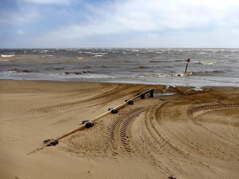 Part of whale carcass washes up on Cleethorpes Beach - Grimsby News