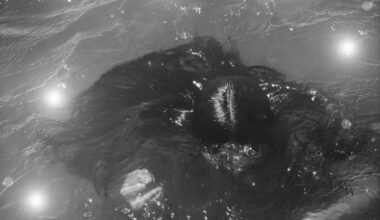 The 2026 Lenscratch New Beginnings Exhibition