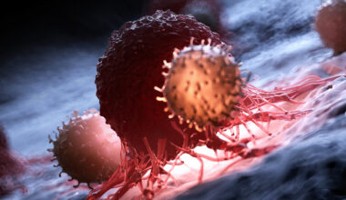 Blocking One Protein Slows Cancer Growth in Mice, Scientists Discover : ScienceAlert