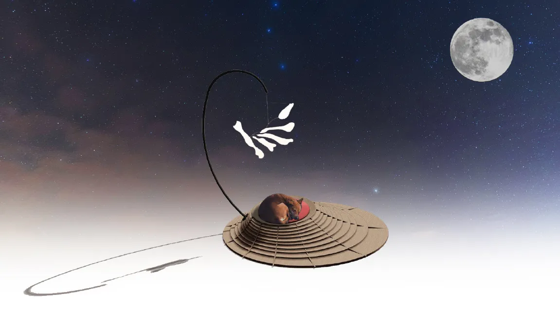 Kubrick’s Bone by Hall + Bednarczyk