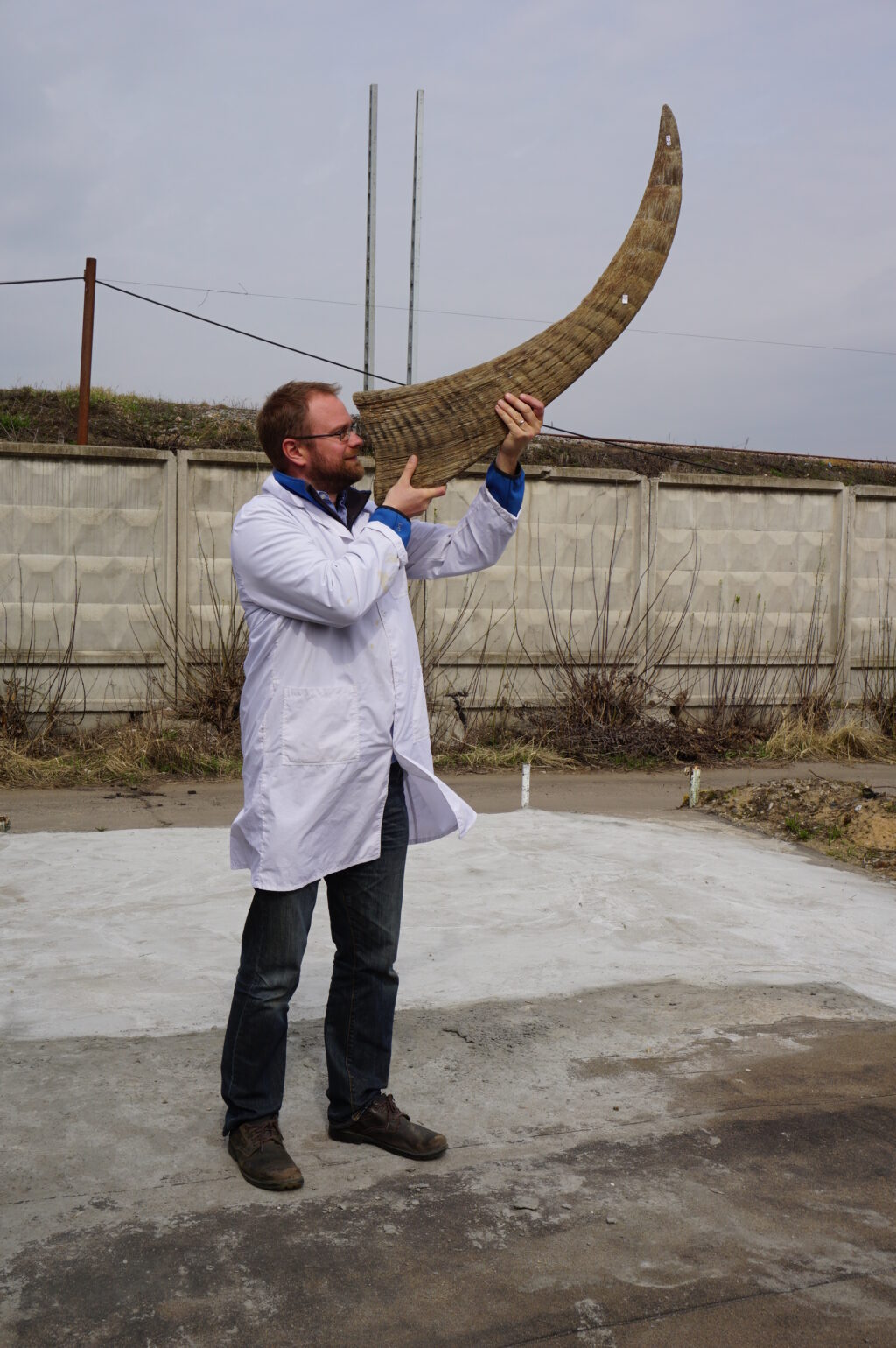 a scientist holds a woolly rhino horn up to his nose