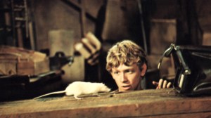 Bruce Davison in "Willard" (1971)