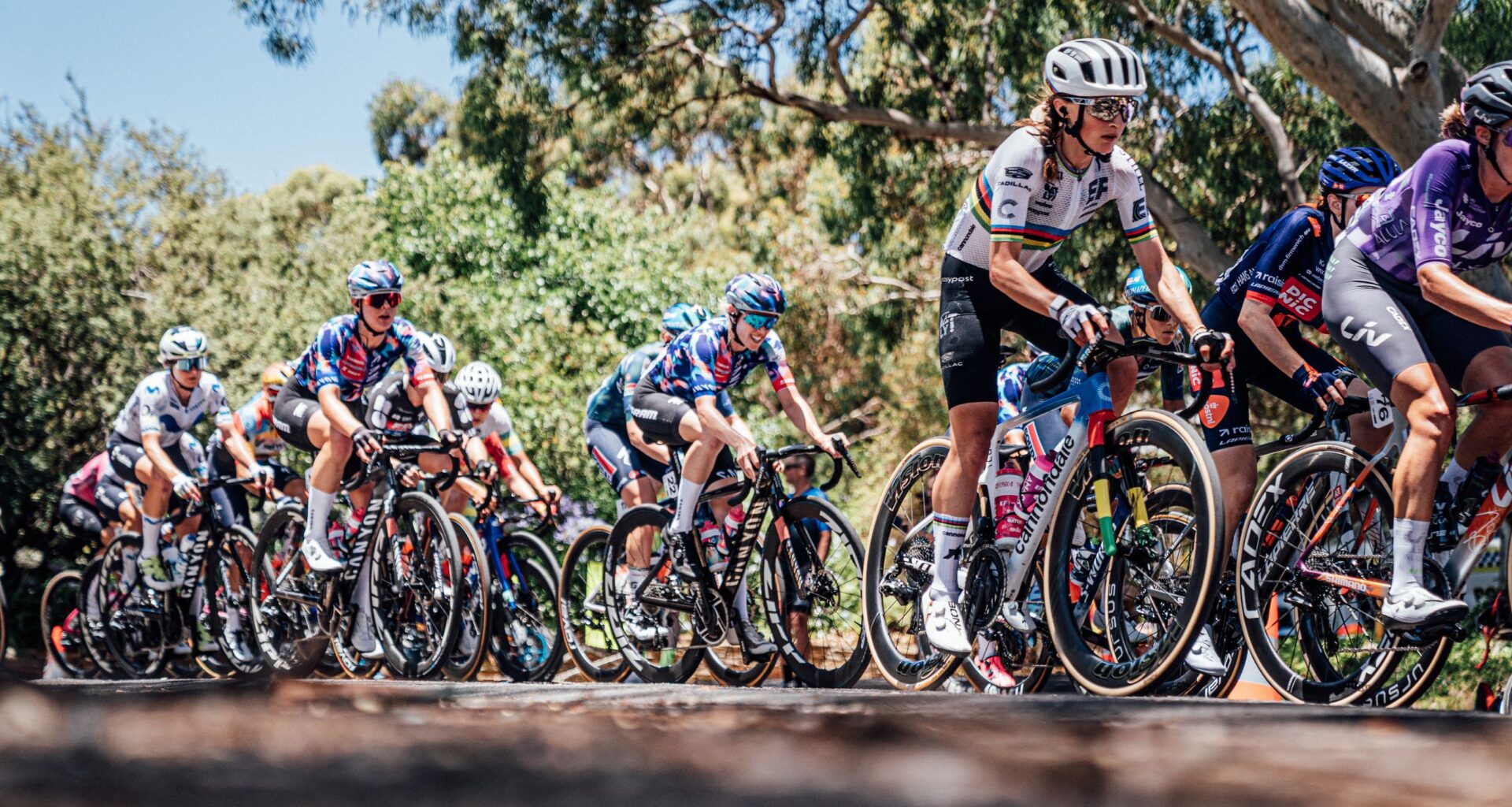 It could get to 40°C at the Tour Down Under this week – how hot is too hot for pro cycling?