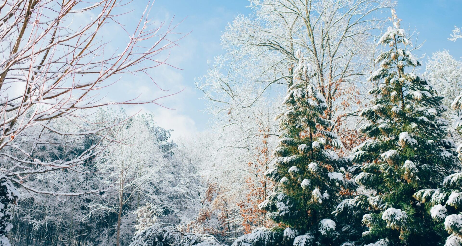 Only the Good Stuff: Multivitamins For Your Weekend {01.17.2026}