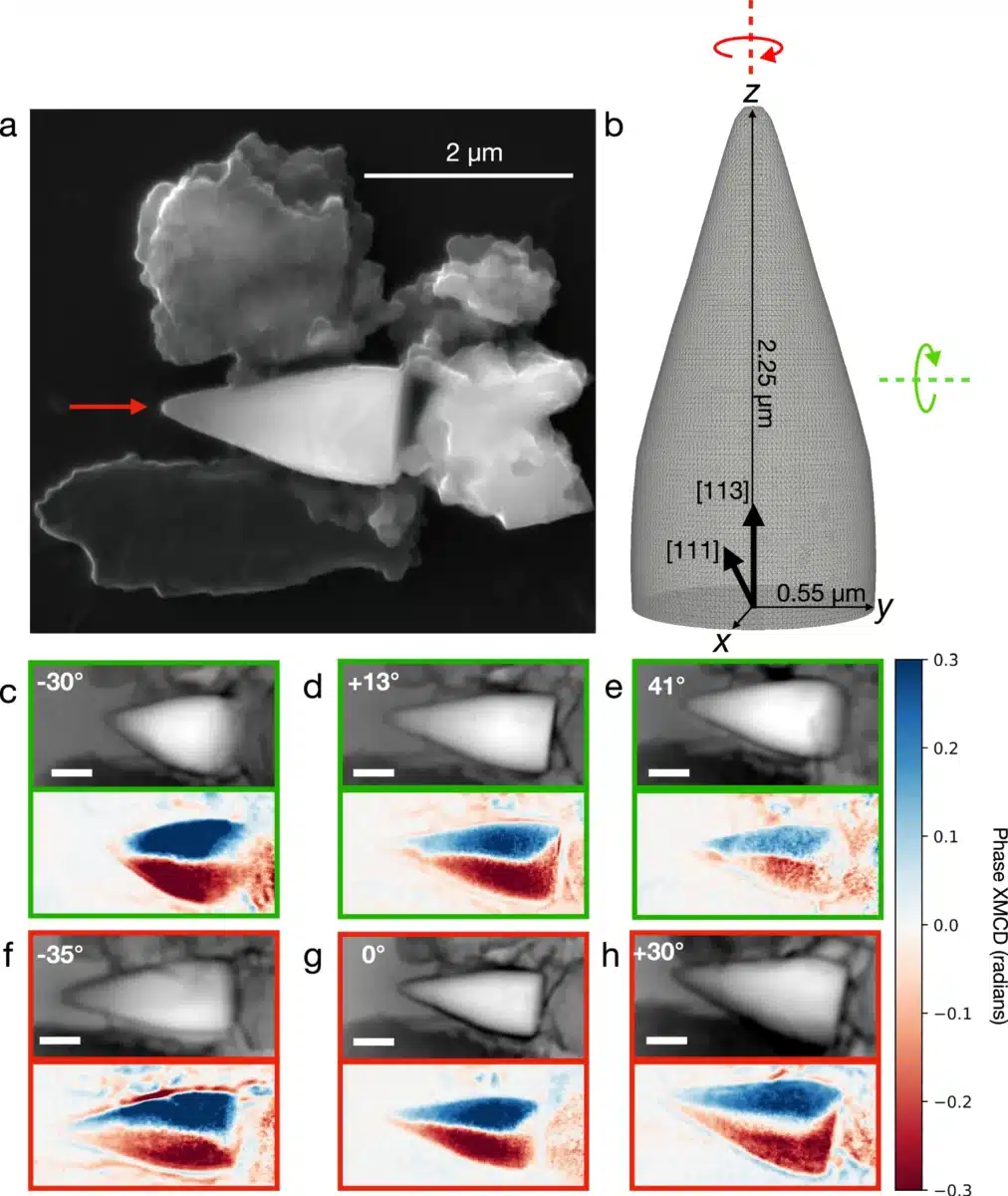 Microscopic And Magnetic Analysis In 2d Of A Giant Spearhead Shaped Magnetofossil