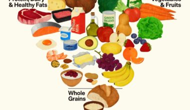 Inverted food pyramid featured in new dietary guidelines - The Independent