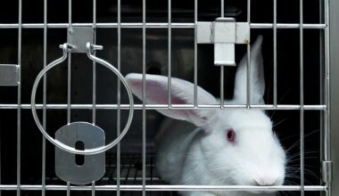 United Kingdom presents historic strategy to eliminate animal experimentation