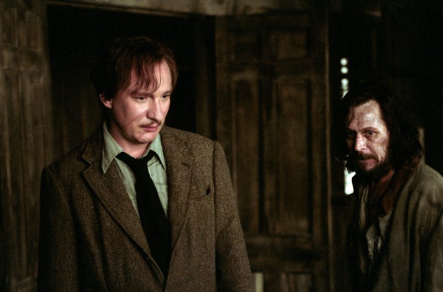 David Thewlis as Remus Lupin in Harry Potter