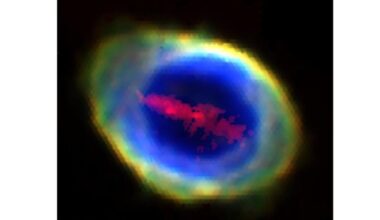 A massive bar-shaped cloud of iron is highlighted in red in this image of the Ring Nebula. A new multi-object spectrograph on the William Herschel Telescope was able to discern the presence of the cloud of iron, as well as the presence of other elements. Now begins the hard work of figuring out what created it. Image Credit: IAC/William Herschel Telescope/Wesson et al. 2026 MNRAS