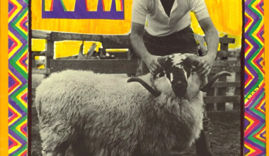 Paul McCartney says one of his best songs was inspired by ‘surrealist’ period and his children