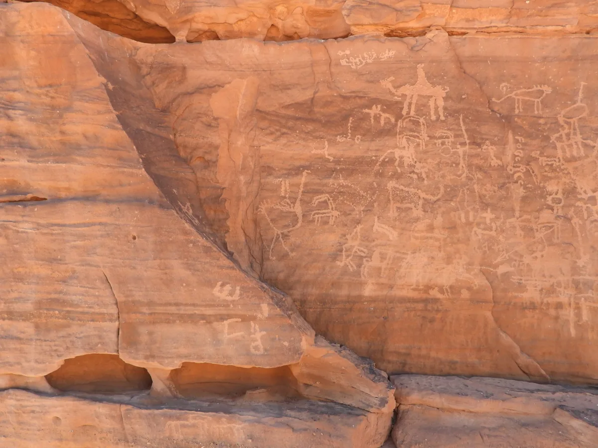 Petroglyphs of ostriches