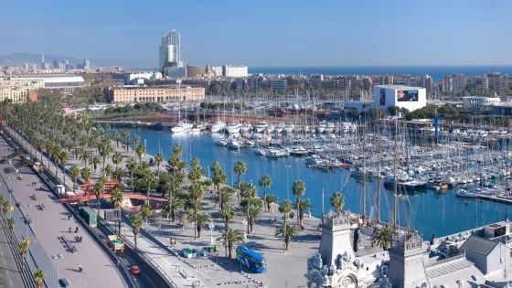 Chipperfield, WilkinsonEyre and ZHA on Barcelona cultural hub longlist