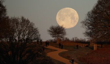 Wolf supermoon captured in stunning pictures across the UK