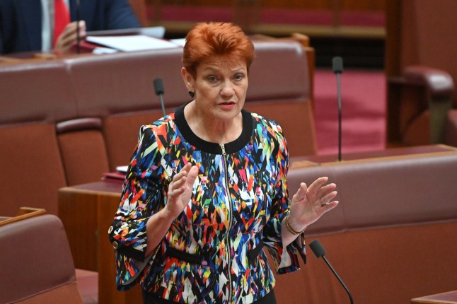 epa12546978 One Nation Leader Pauline Hanson speaks in the Senate chamber at Parliament House in Canberra, Australia, 25 November 2025. Hanson was suspended from senate for seven days for wearing a burka in the senate chamber while campaigning for the passage of a bill banning the garment. EPA/MICK TSIKAS AUSTRALIA AND NEW ZEALAND OUT