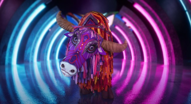 Yak on The Masked Singer.