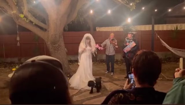 Rock icon 'marries her dog' to celebrate 50th birthday in ceremony jenny lewis