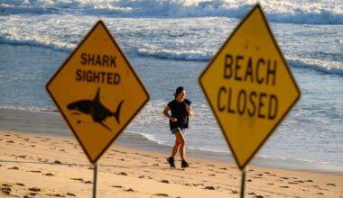 Australia has suffered four shark attacks in 48 hours. Is the water safe?