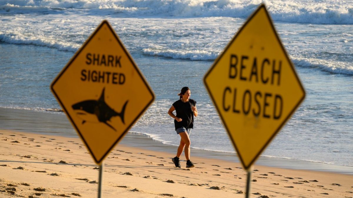 Australia has suffered four shark attacks in 48 hours. Is the water safe?